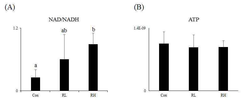 Hepatic NAD/NADH ratio (A) and ATP level (B) of rats with or without fed ginseng.