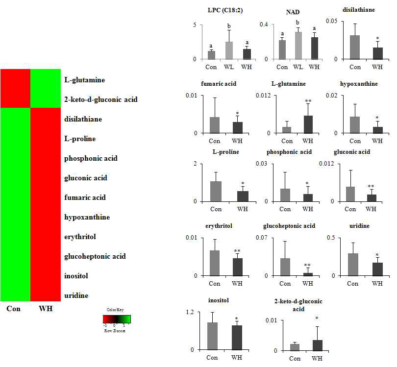 The heat maps of identified urinary metabolites from rats fed normal and whit ginseng and their normalized chromatogram intensities.