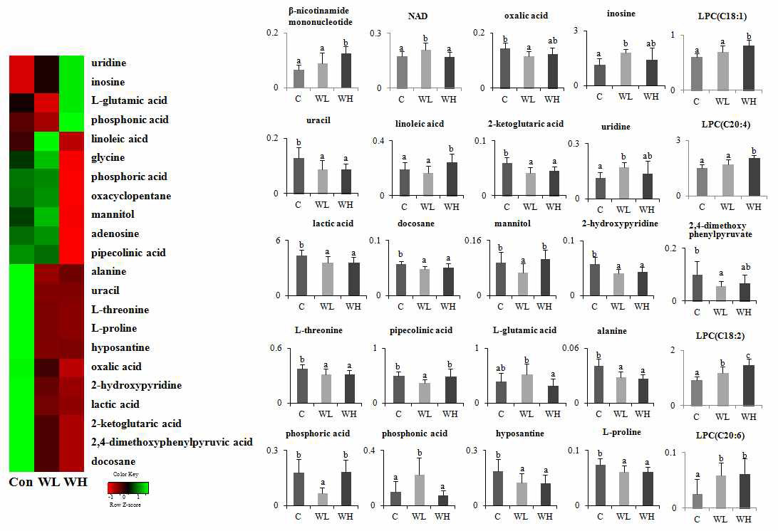 The heat maps of identified kidney metabolites from rats fed normal and whit ginseng and their normalized chromatogram intensities.