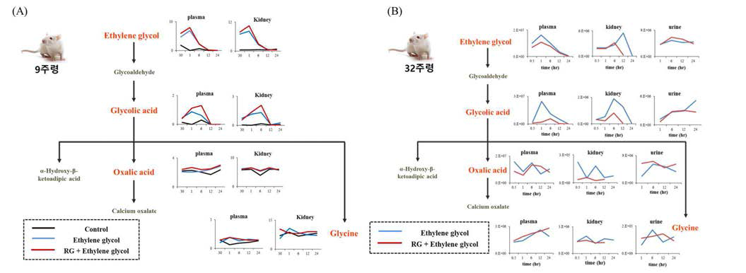 Ethylene glycol metabolism profiles from plasma, kidney and urine of rats fed ginseng diet using GC/MS.