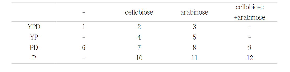 Broth 조성, Y: Yeast extract, P: Peptone, D: Dextrose(glucose)