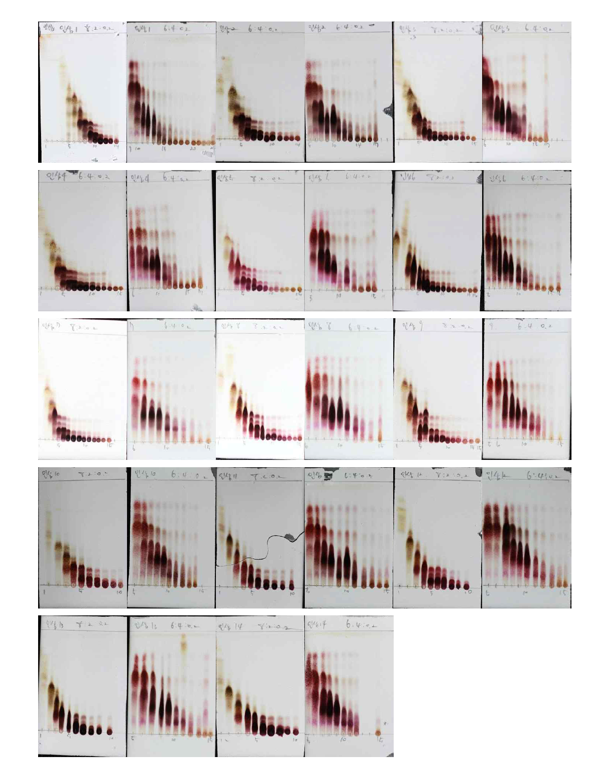 MPLC 이용 1차 분리 된 인삼 분획물의 TLC 패턴 확인 결과.