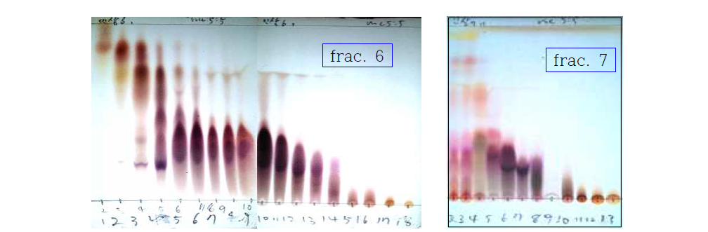 6번 및 7번 fraction 2차 분리 TLC.