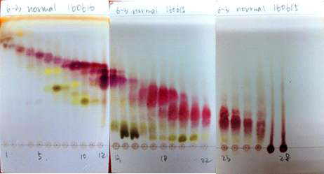 6-3번 fraction 3차 분리 normal, reverse TLC.