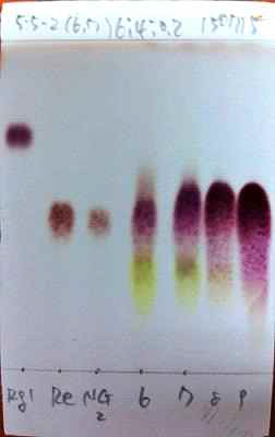 Ginsenoside Rg1, Re, NG A, 5-5-2 fraction(6-9)의 normal phase TLC