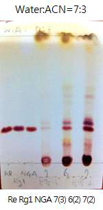 Ginsenoside Re, Rg1, NG A, 5-5-3 fraction 7, 5-5-2 fraction 6, 7번 물질의 reverse phase TLC 패턴.