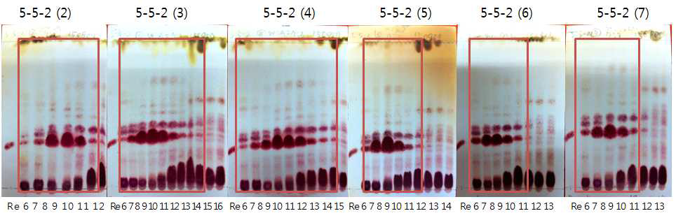 Ginsenoside Re와 5-5-2 fraction의 reverse phase TLC 패턴.