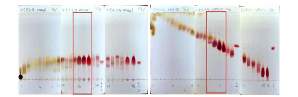 4-5-4-3-4 fraction 6차 분리 normal, reverse TLC.