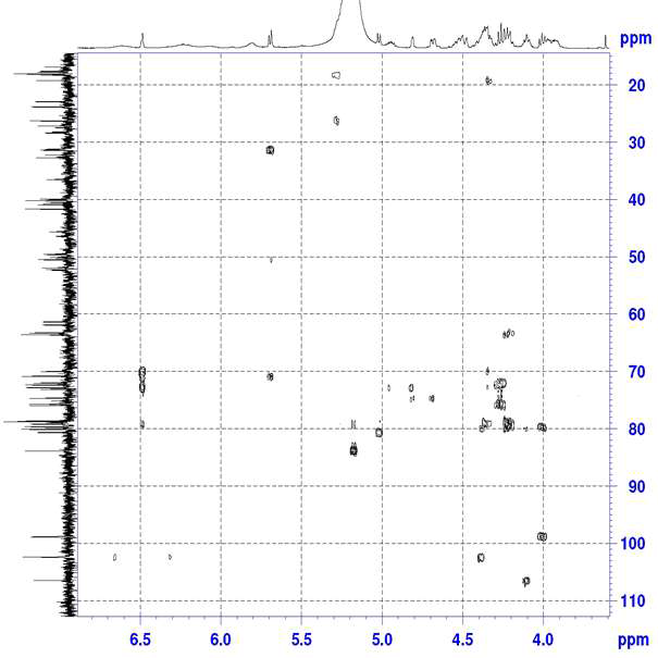 1H-13C HMBC spectrum (2D NMR).