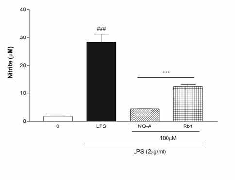 Nitric oxide 저해효과.