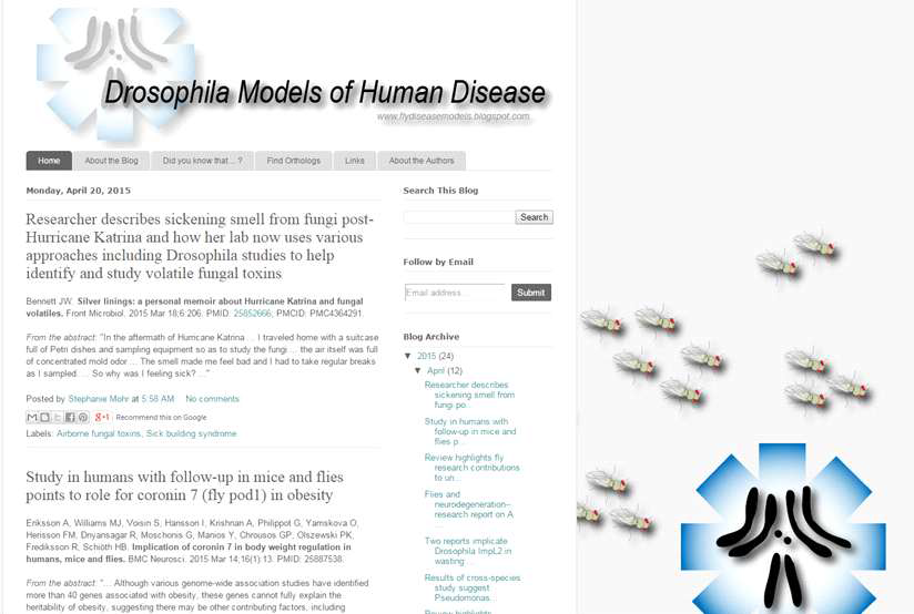 Human Disease 연구를 위한 초파리 모델 검색 website