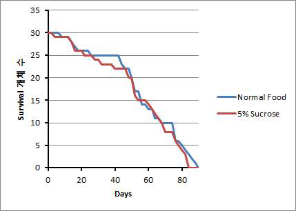 Normal food 와 5% sucrose 섭식시 수명 패턴 분석