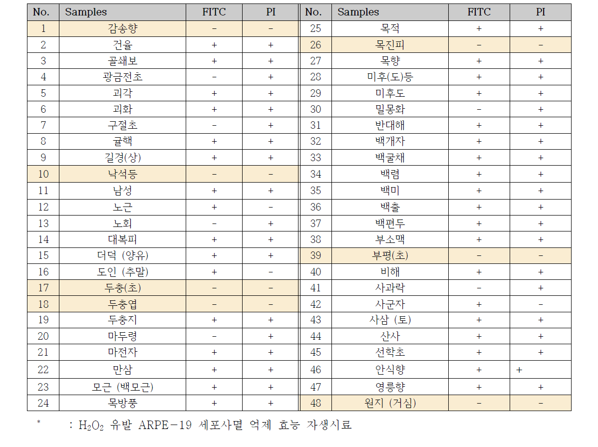 생약시료 48종에 의한 세포사멸 형광 지표자 검출 여부