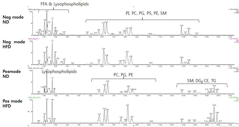 UPLC-Q-TOF MS base peak intensity chromatogram (BPI). 정상식이, 고지방식이 rat의 혈정 지질 대사체를 negative mode와 positive mode로 각각 분석하여 얻는 크로마토그램