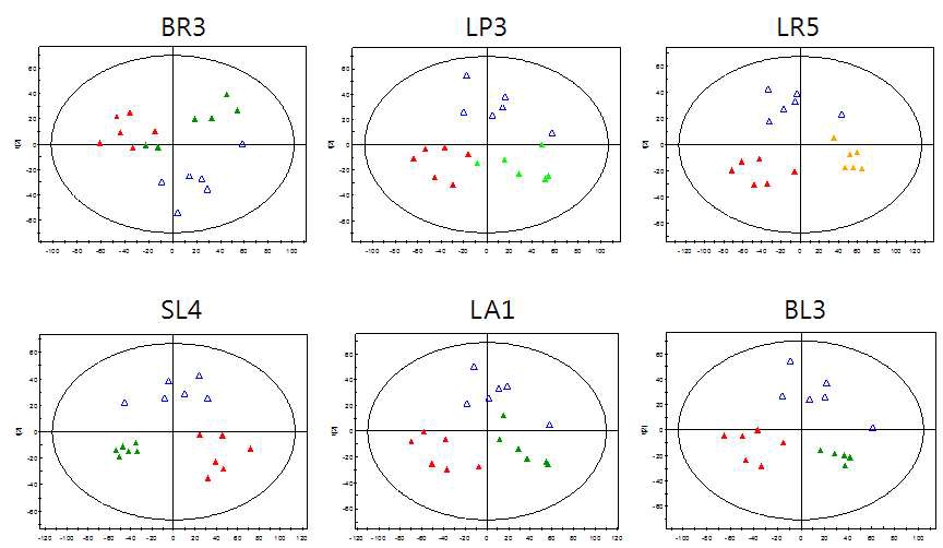 ESI positive mode로 분석한 혈장대사체의 PLS-DA score plot. 정상식이, 고지방식이, 고지방식이+개별유산균주 섭취 그룹의 혈장대사체 열린 파란세모: 정상식이, 빨간색세모: 고지방식이 그룹, 기타 다른 색의 세모 : 고지방식이 + 개별유산균주 (BR3, LP3,,LR5 ,SL4, LA1,,BL3)