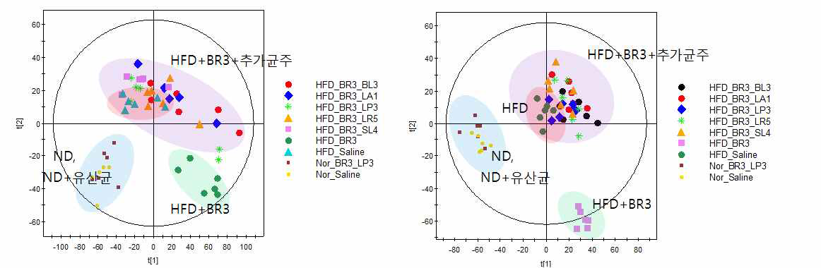 정상/고지방식이와 함께 섭취한 BR3 유산균 및 추가 균주가 혈장 대사체 패턴에 미치는 영향: 분석은 고분해능 질량분석기로 분석한 혈장대사체의 PLS-DA score plot.