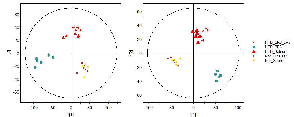 BR3 단독 유산균 및 BR3와 LP3 복합균주 섭취가 정상 및 고지방식이에 의한 혈장 대사체 패턴에 미치는 영향 분석: 고분해능 질량분석기로 분석한 혈장대사체의 PLS-DA score plot.