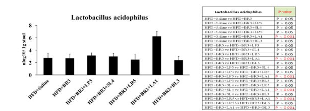 비만 개선 복합 probiotics 균주의 L. acidophilus 정량 분석 결과