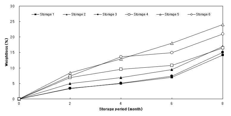 생강의 저장 중 중량감모율 변화