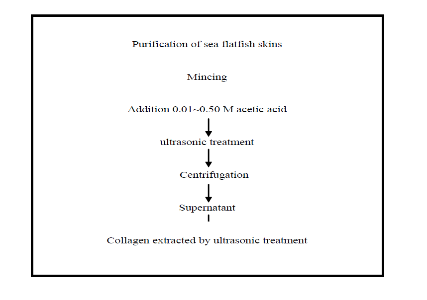 Flow chart of the procedure used for extraction of collagen from flatfish skins by ultrasonic treatment with 0.05M acetic acid solution.