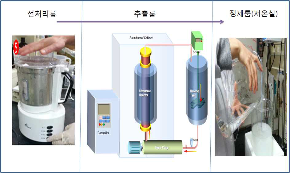 Image process of collagen extraction system.