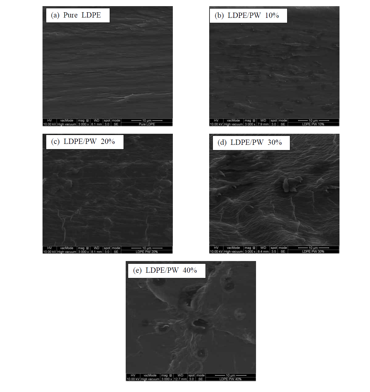 SEM images for the fractured surfaces of the LDPE/PW composite films.