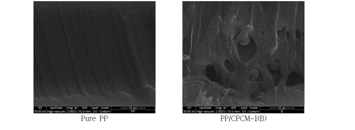 온도에 따른 PP/CPCM-1 복합필름 파단면의 SEM 이미지