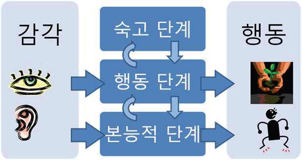 두뇌에서 일어나는 정보처리 3단계