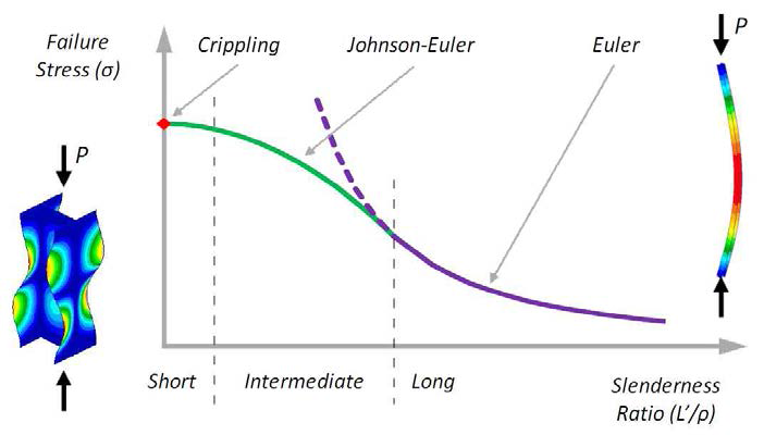 Column buckling behavior as a function of length