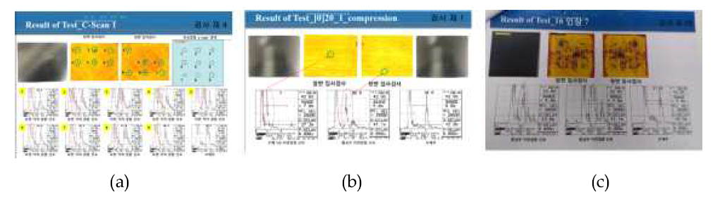 C-Scan 검사 결과