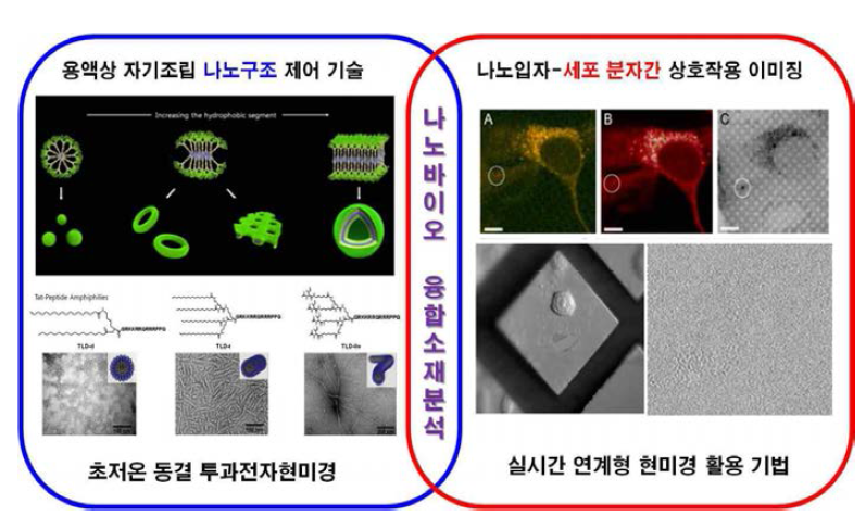 나노-바이오 융합소재 개발을 위한 융복합 연구 예시