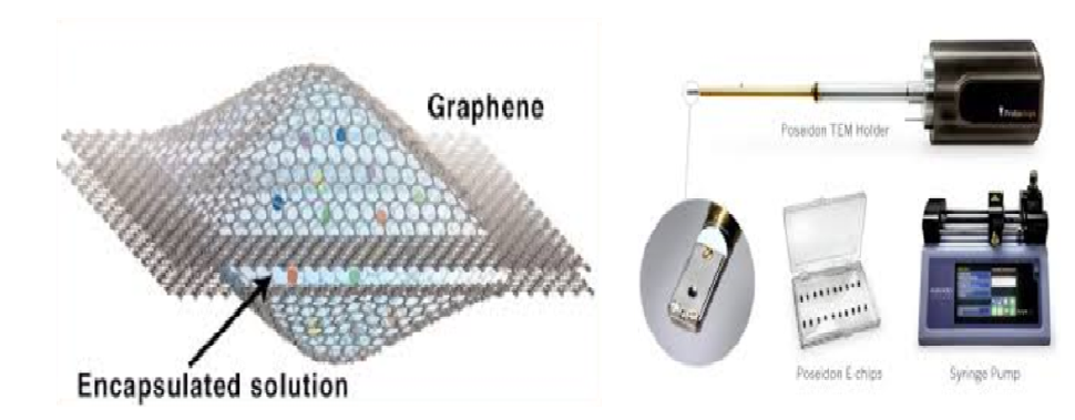 초진공상에서 관찰 가능한 Graphene막을 활용한 액체 셀과 최신 개발된 액체상변이 관찰용 holder