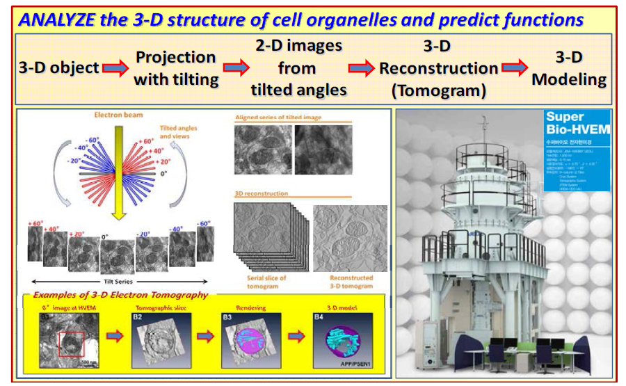 Bio-HVEM 활용 3차원 Electron Tomography의 개요를 나타내는 모식도