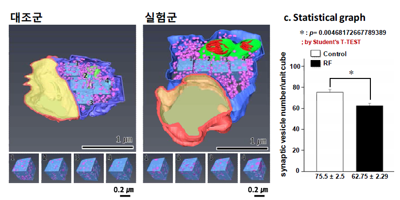 분석 예시 2