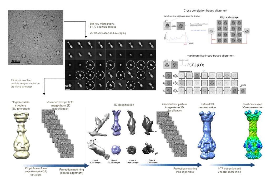 Cryo-EM 단입자분석법의 주요 workflow