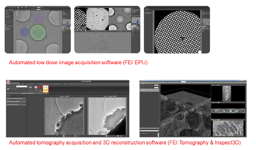 단입자분석용 영상 데이터 자동수집 및 초저온 전자토모그래피 데이터 수집을 위한 소프트웨어
