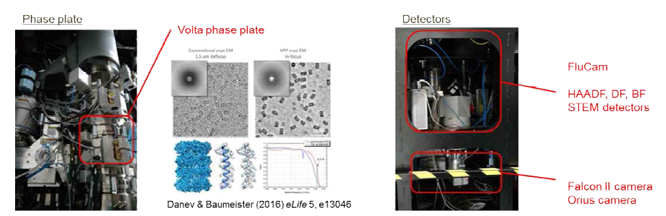 다양한 cryo-EM 응용을 위한 phase plate 및 STEM detector