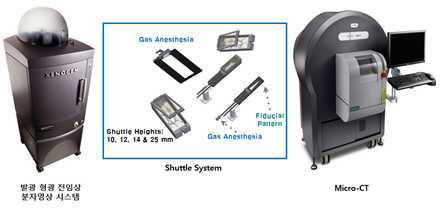 Micro-CT와의 호환성(Co-registration)