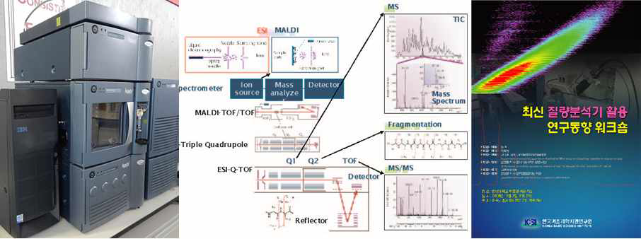 최신 질량분석기 활용 연구동향 워크숍 (2008)