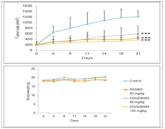 Balb/Nude mice(n=7)에 RX-5902, DGG-200064 약물을 주입 시작 후 대장암 HCT116 세포주의 성장곡선 (***P<0.001 Student