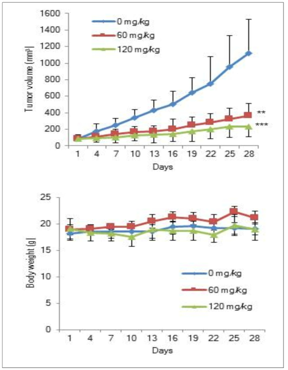 Balb/Nude mice(n=7)에 DGG-200337 약물을 주입 시작 후 대장암 Colo205_luc 세포주의 성장곡선(**P<0.01 ***P<0.001 Student