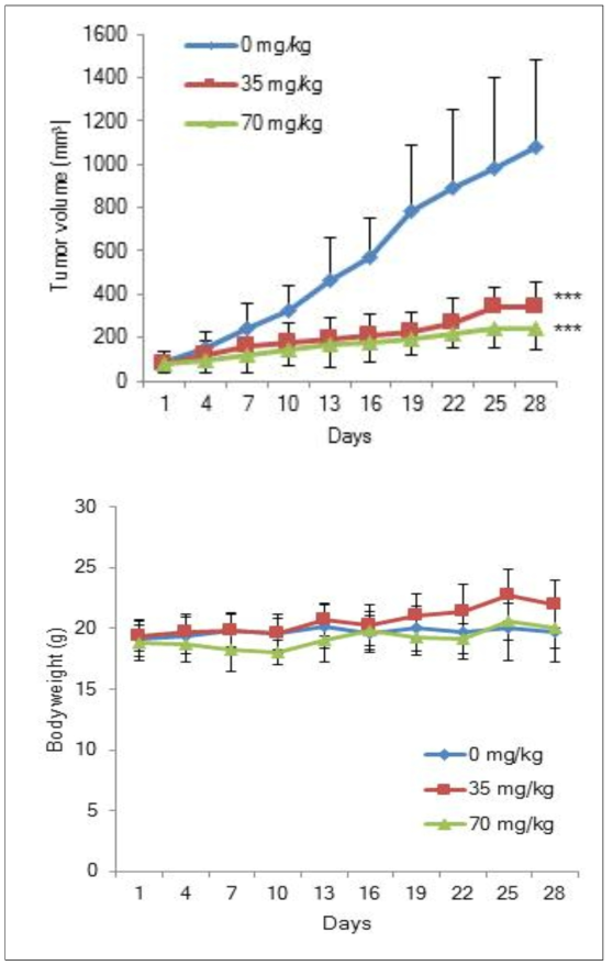 Balb/Nude mice(n=7)에 DGG-200338 약물을 주입 시작 후 대장암 Colo205_luc 세포주의 성장곡선(***P<0.001 Student