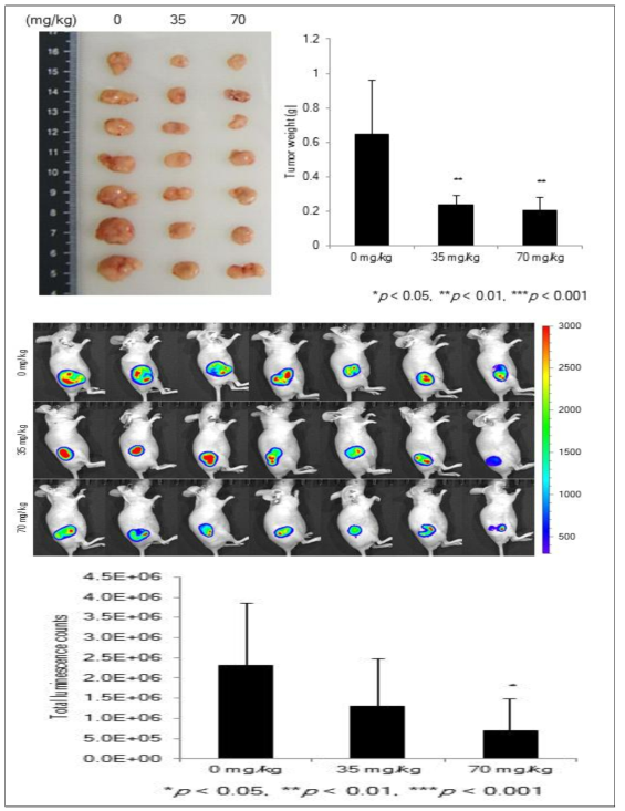 (a) DGG-200338 약물 경구투여 종료 후 수확한 종양과 해당 종양무게의 평균(**P<0.01 ***P<0.001 Student