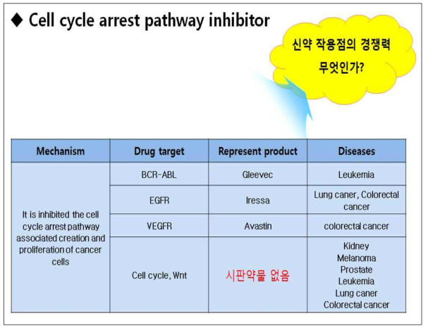 경쟁력 있는 항암제 개발 작용점
