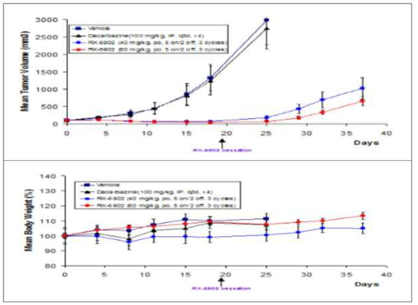 Human melanoma cancer (A375) xenograft model을 활용한 in vivo 결과