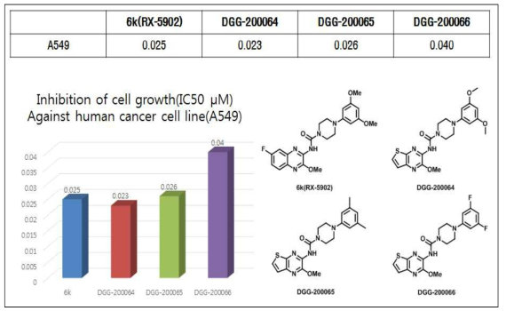 새롭게 도출한 선도물질과 기존 선도물질의 IC50 비교 (A549)