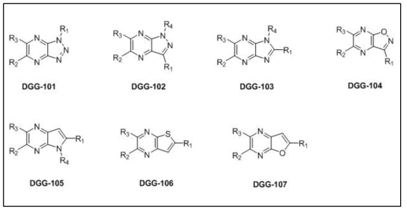 본 연구팀이 5년간 개발한 독창적인 헤테로고리-피라진계 약물성 Core skeleton 7 종