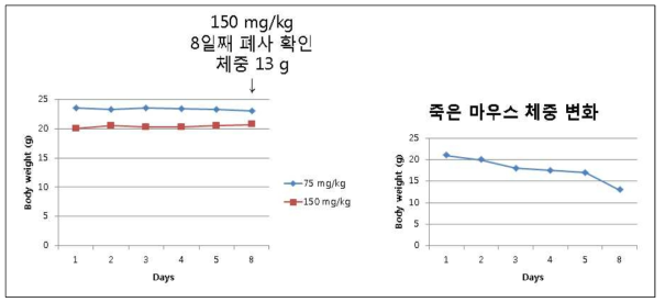 DGG-200064 화합물 3차 MTD 실험 중 체중변화