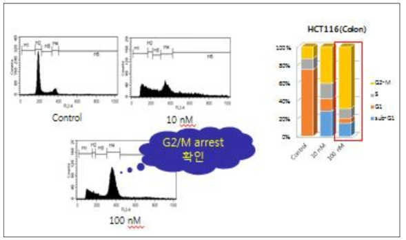 대장암(HCT116)에 선도물질 DGG-200064 처리 후 PI 염색을 통하여 FACS 분석.