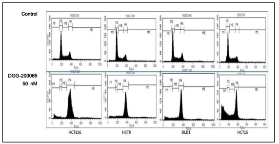 FACS 분석을 통한 대장암세포 (HCT116, HCT15, HCT8, DLD1,)에서 DGG-200065의 G2/M 세포증식 억제 확인